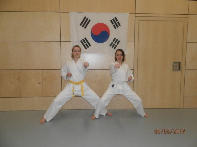 Taekwondo Training